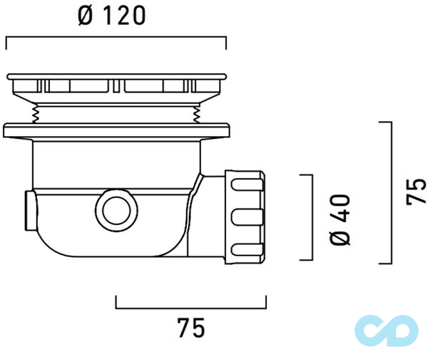 креслення Сифон для піддону Catalano Base AC5010N