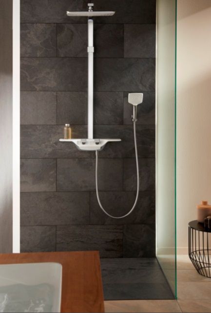 купити Ручна лійка 1S Kludi Freshline 6450005-00 прямокутна хром/білий