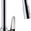 Кухонный смеситель Hansgrohe Focus M42 71800000